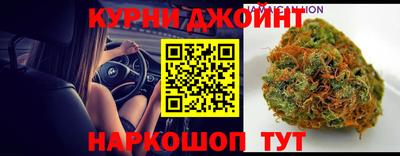 apvp Краснодар