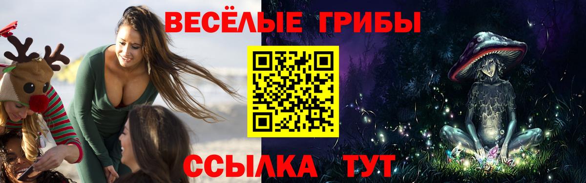 Галлюциногенные грибы Psilocybe  Вход с VPN  Клин 